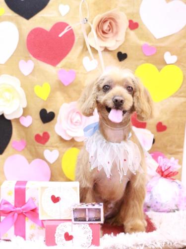 20230216紋之助くん